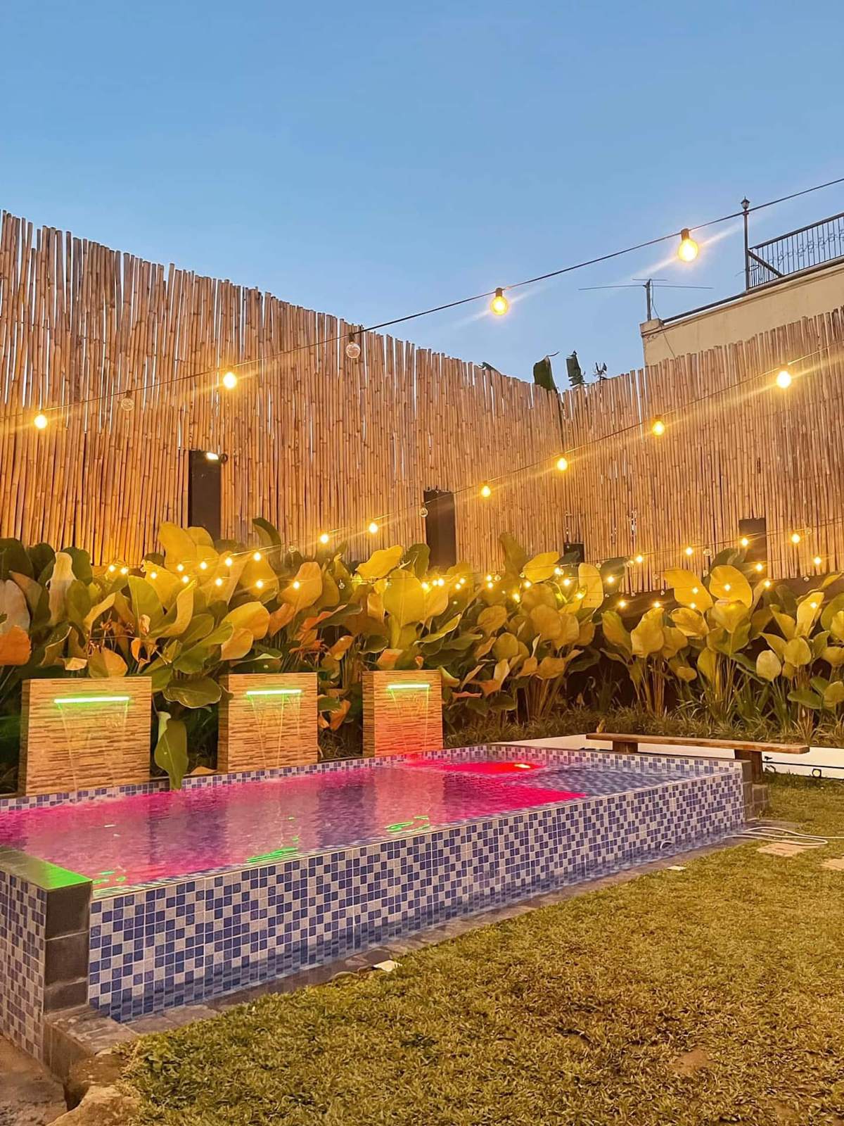 The pool lit at night under string lights, bamboo fence behind